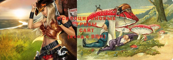 гидропоника Покров